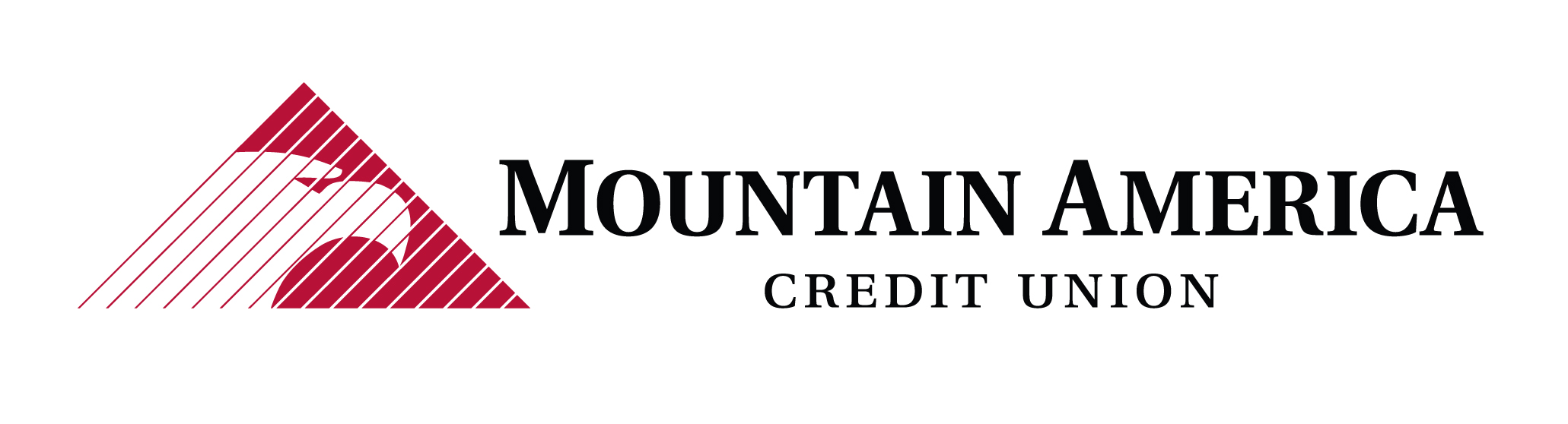 National PTA thanks Mountain America Credit Union for their generous match for this #GivingTuesday!