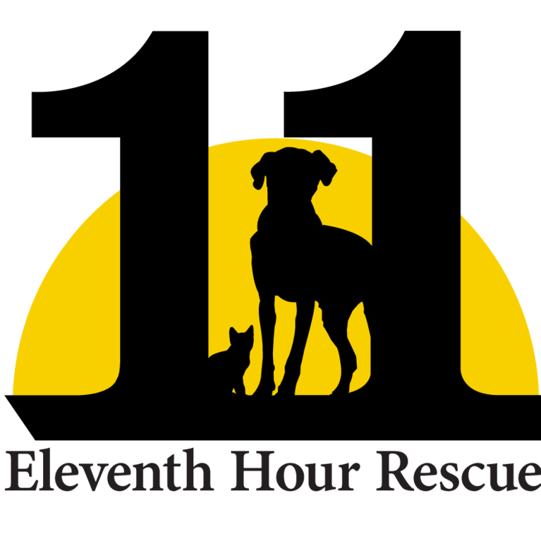 Eleventh Hour Rescue