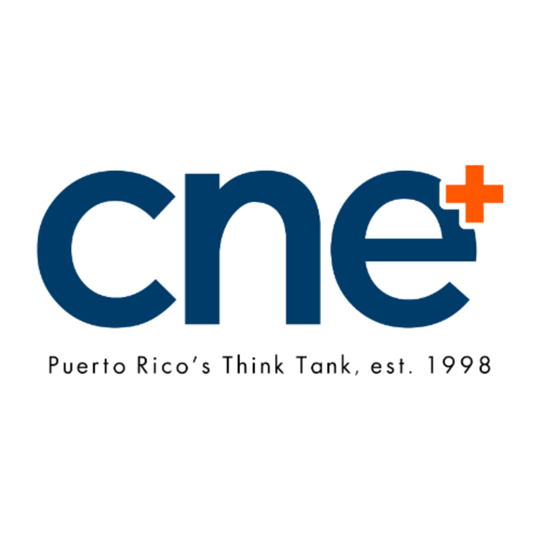 Center for the New Economy Inc