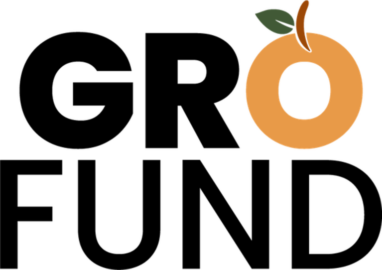 Georgia Resilience and Opportunity Fund Inc logo