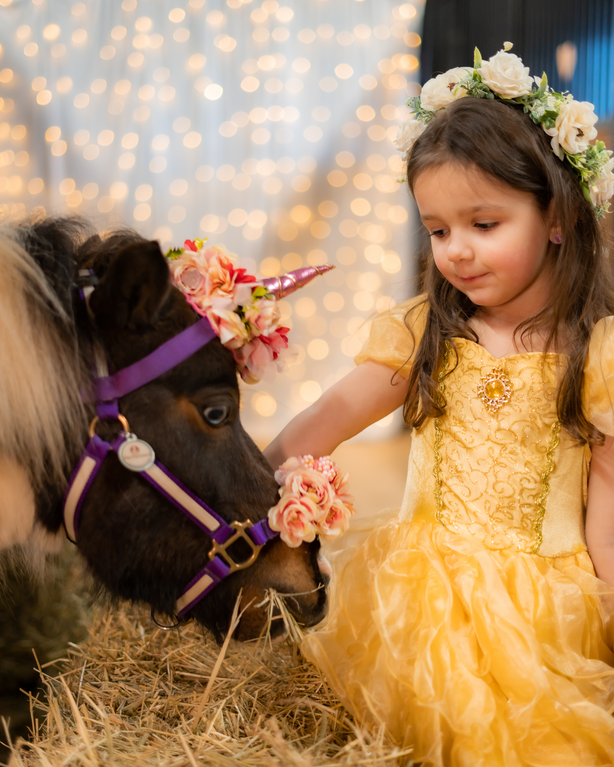 Legacy Equine-Assisted Services NFP