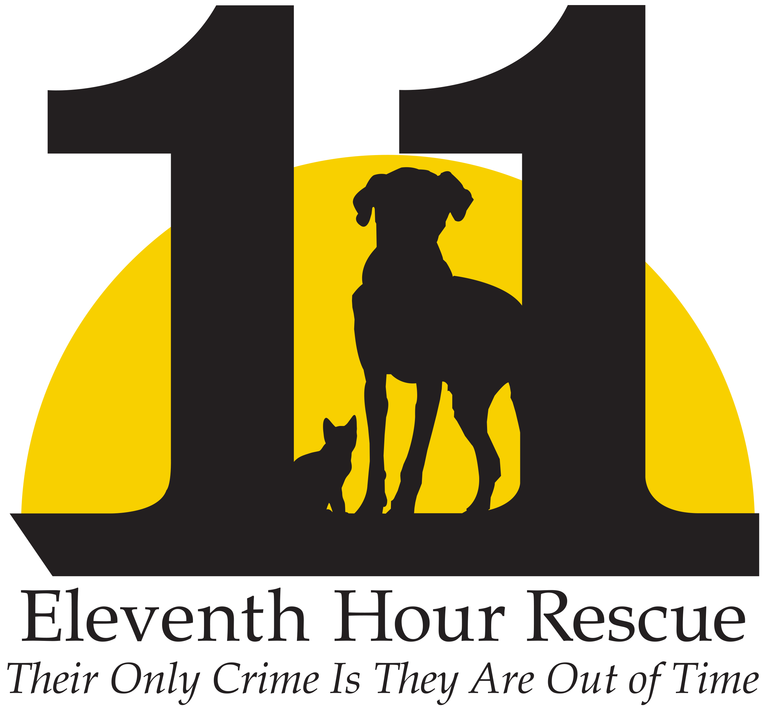 Eleventh Hour Rescue