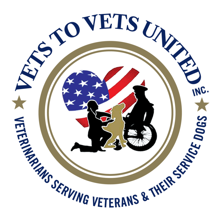 VETS TO VETS UNITED INC