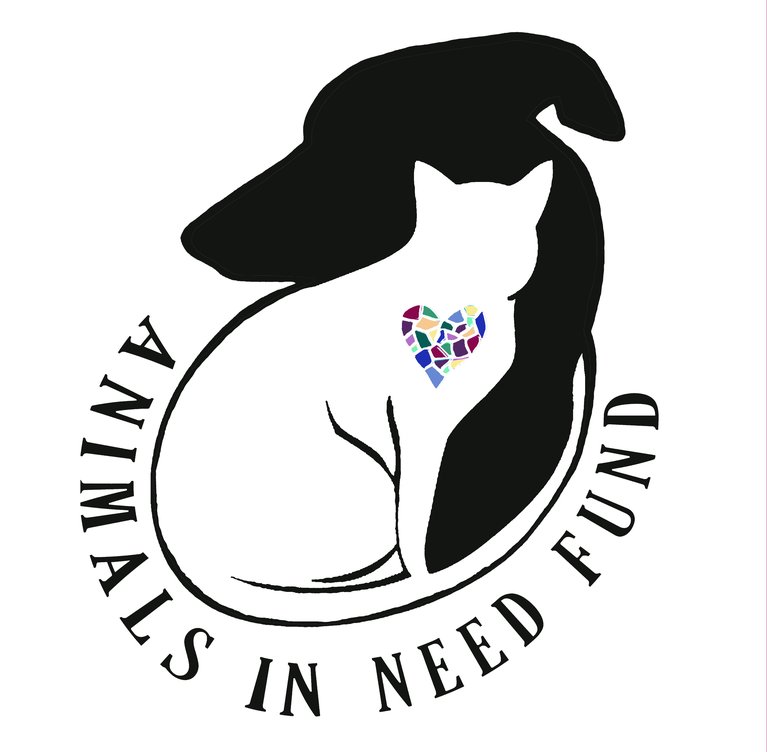 ANIMALS IN NEED FUND Animals In Need Fund Empty Bowls Fundraiser!!
