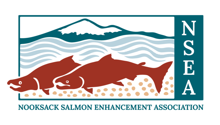 NOOKSACK SALMON ENHANCEMENT ASSOCIATION