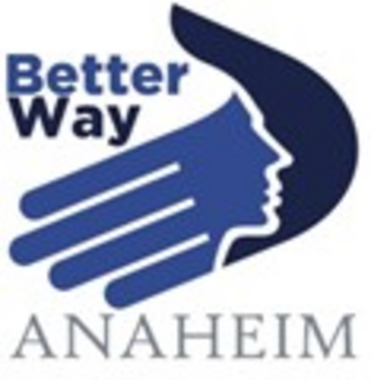 Jmh-Anaheim Foundation Inc