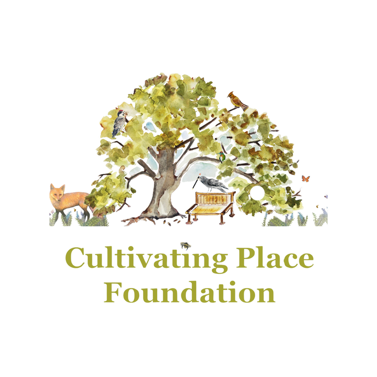 CULTIVATING PLACE FOUNDATION logo