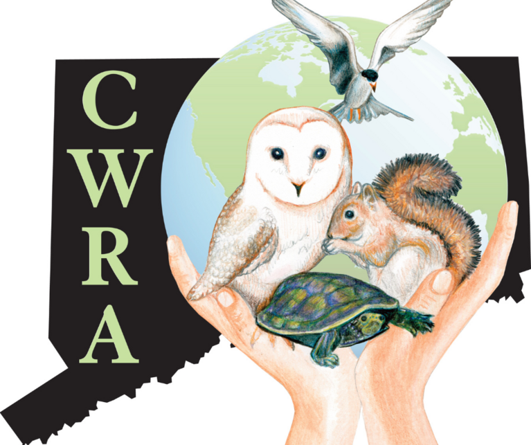 Connecticut Wildlife Rehabilitators Association Inc