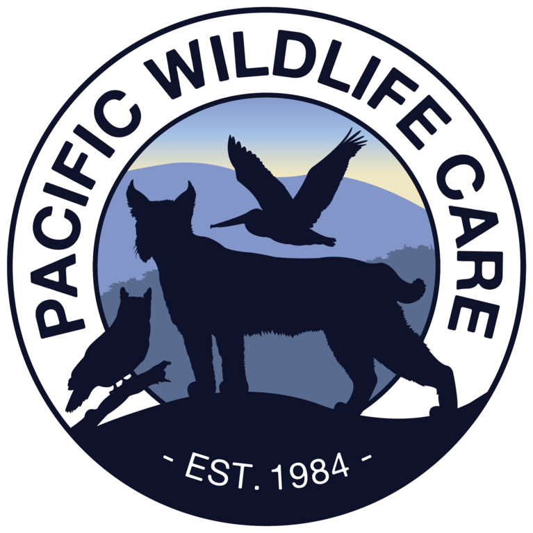 Pacific Wildlife Care