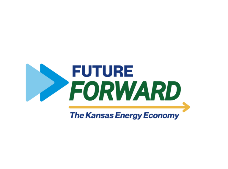 CLIMATE AND ENERGY PROJECT INC                                        