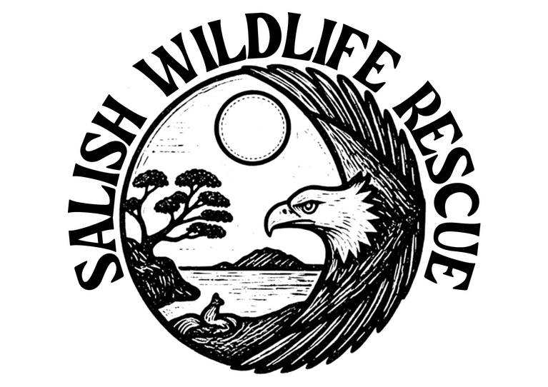 Salish Wildlife Rescue