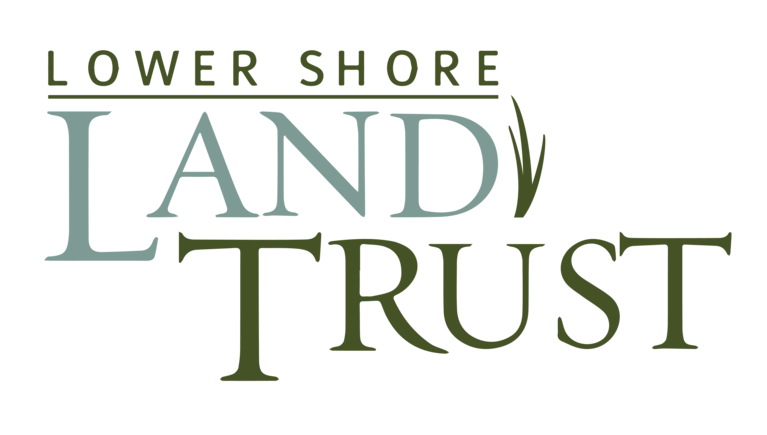 LOWER SHORE LAND TRUST 