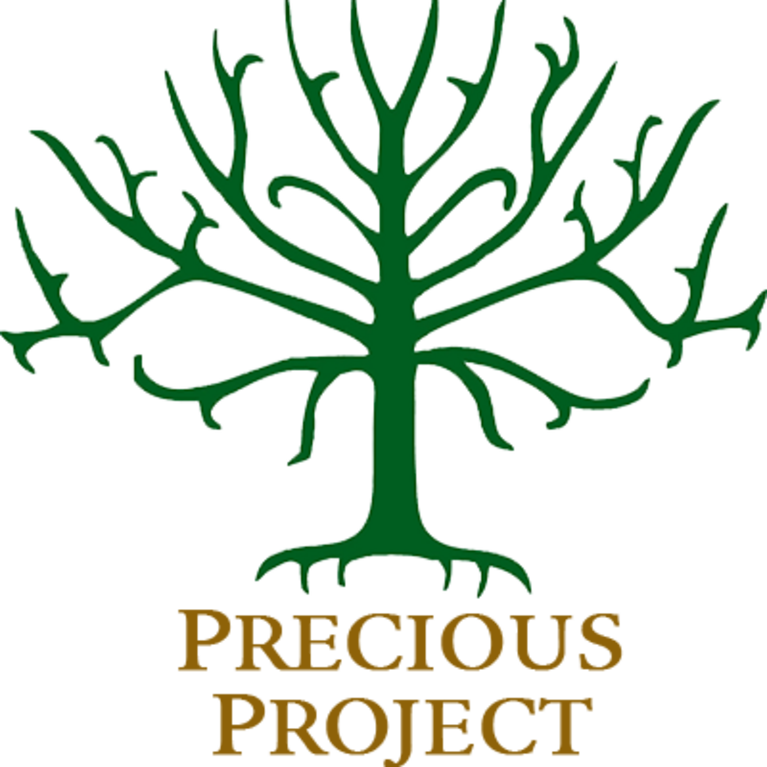 PRECIOUS PROJECT INC