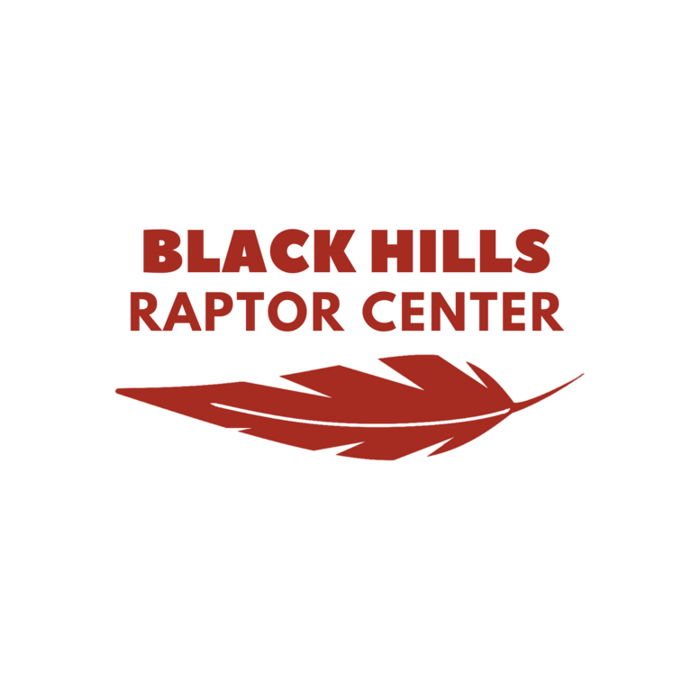 BLACK HILLS RAPTOR CENTER