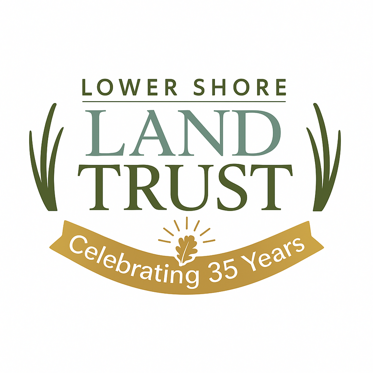 LOWER SHORE LAND TRUST 