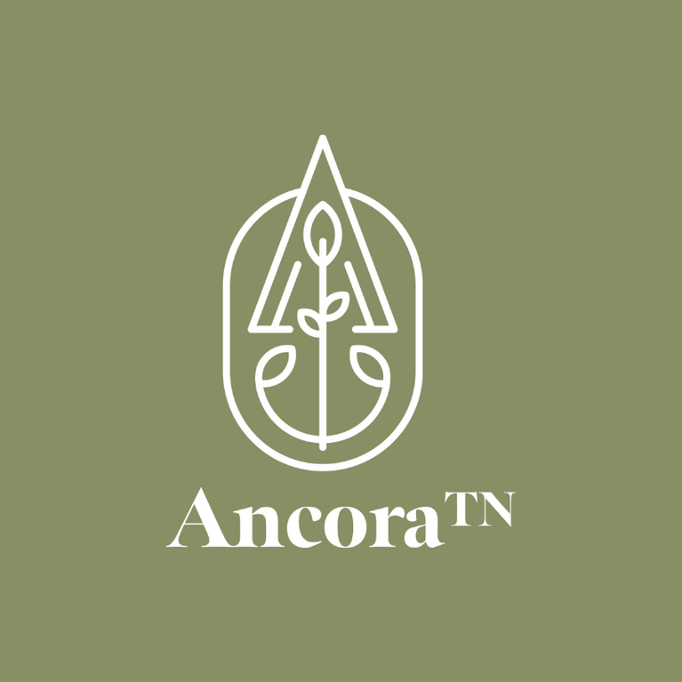 AncoraTN