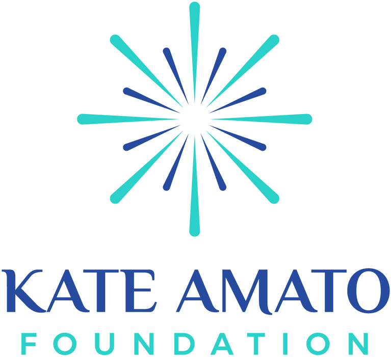 Kate Amato Foundation Inc