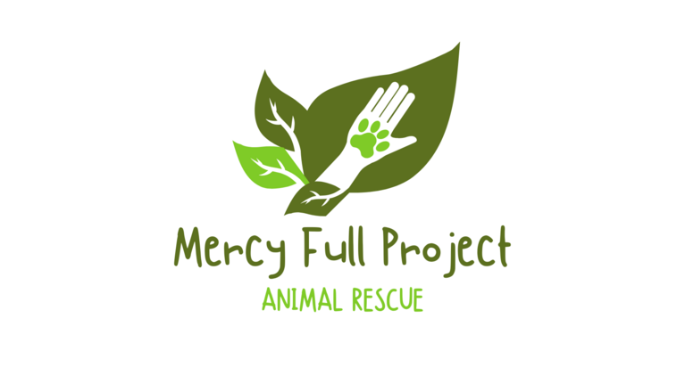 MERCY FULL PROJECT INC
