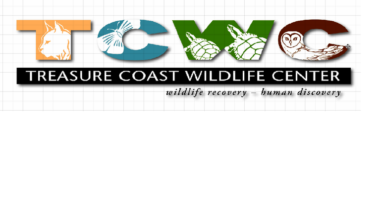 TREASURE COAST WILDLIFE HOSPITAL INC