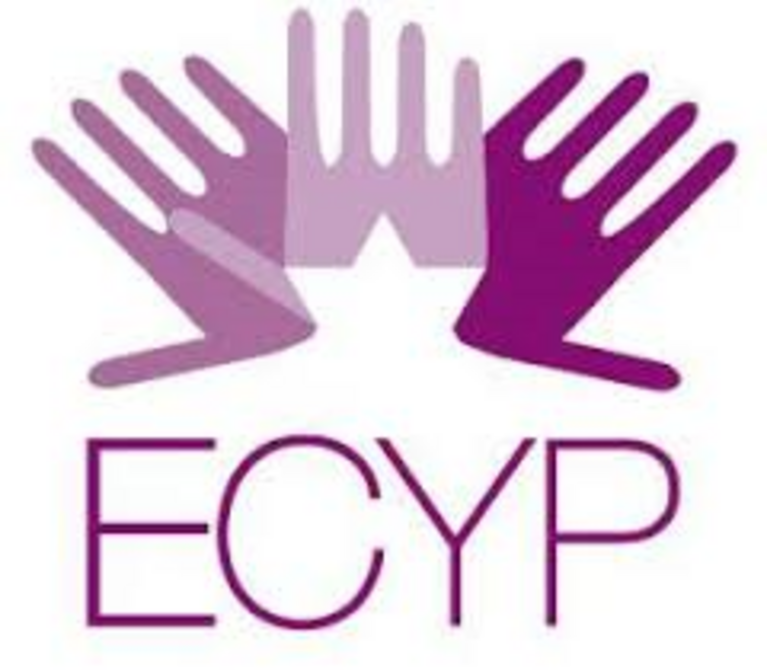 Elijah Cummings Youth Program in Israel Inc logo