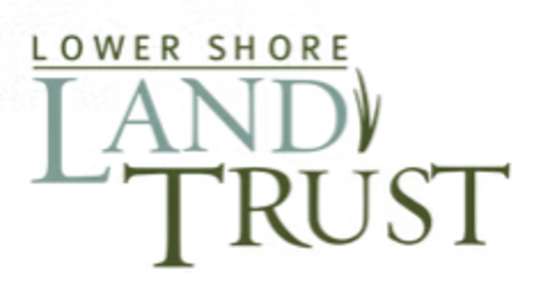 LOWER SHORE LAND TRUST 