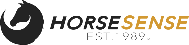 HorseSense for Special Riders