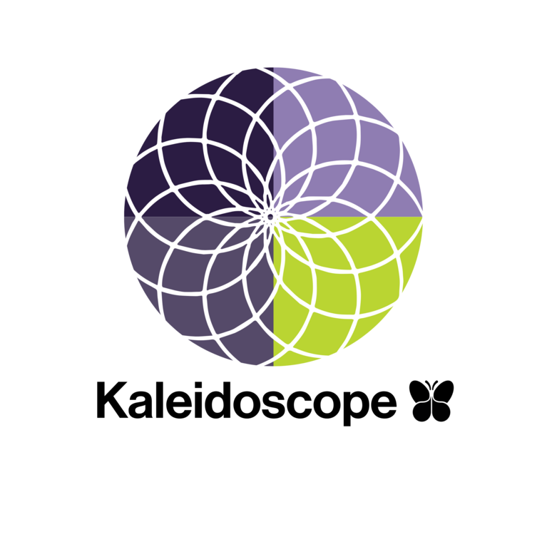 PROMISE RESOURCE NETWORK INC
