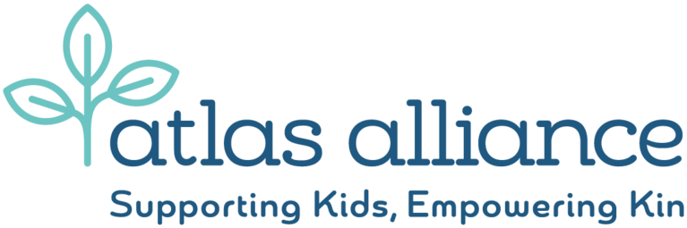 INNOVATIVE SOLUTIONS FOR DISADVANTAGE AND DISABILITY INC