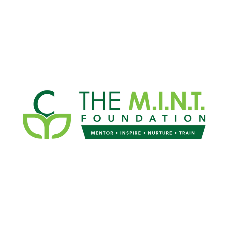 Chocolate Mint Foundation