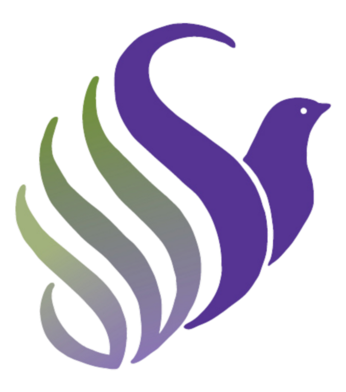 Domestic Violence Services of Snohomish County