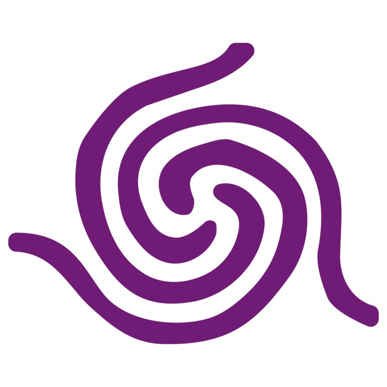 Solidarity Media Network
