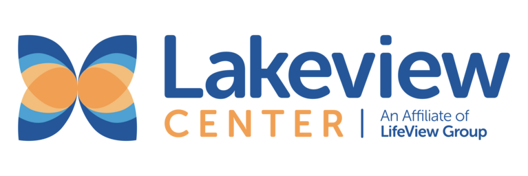 Lifeview Group Inc