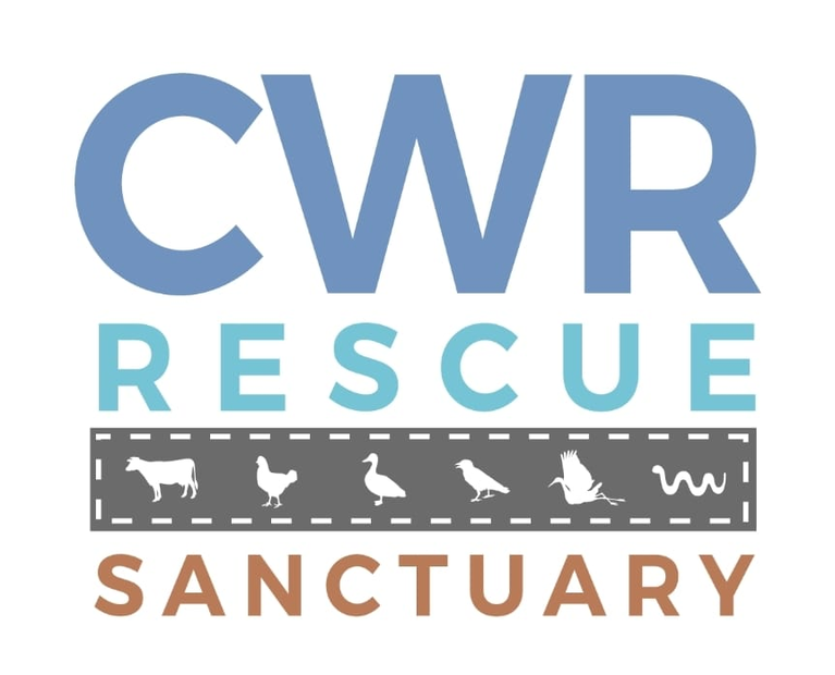 Carolina Waterfowl Rescue