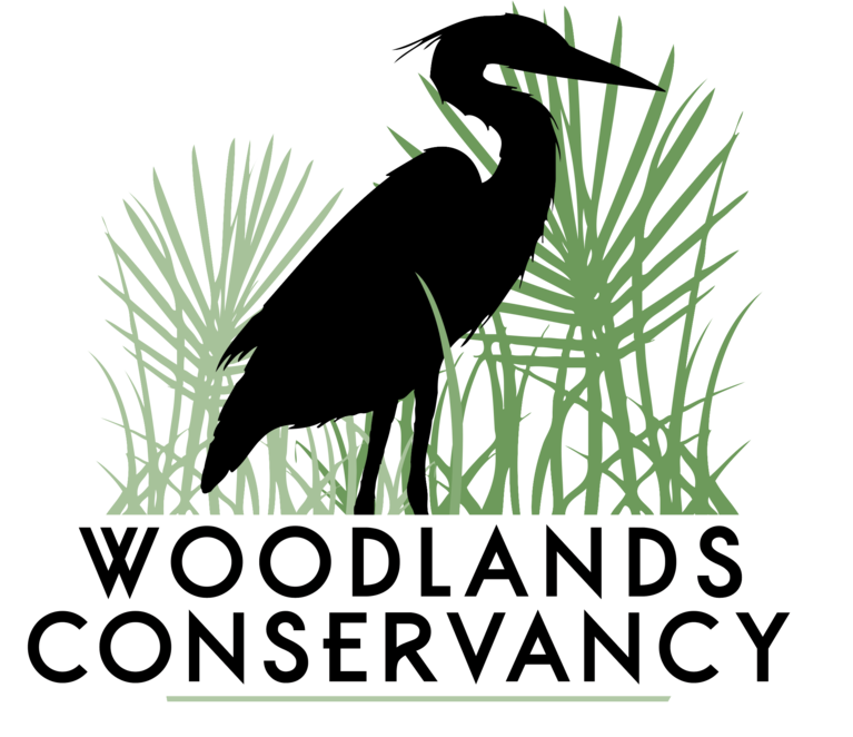 Woodlands Conservancy