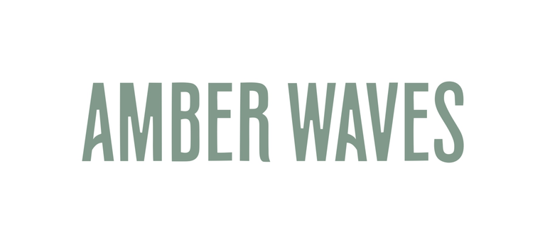 AMBER WAVES FARM 