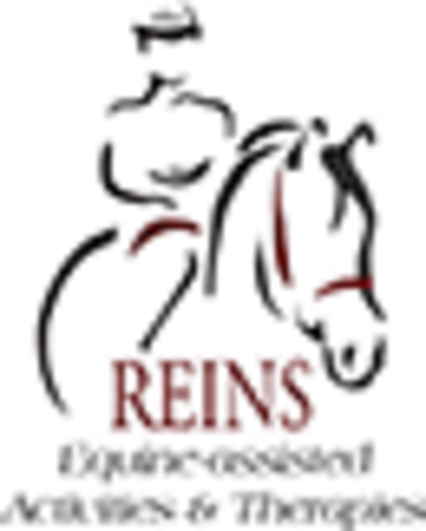 REINS INC