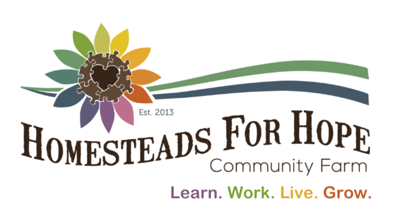 HOMESTEADS FOR HOPE INC