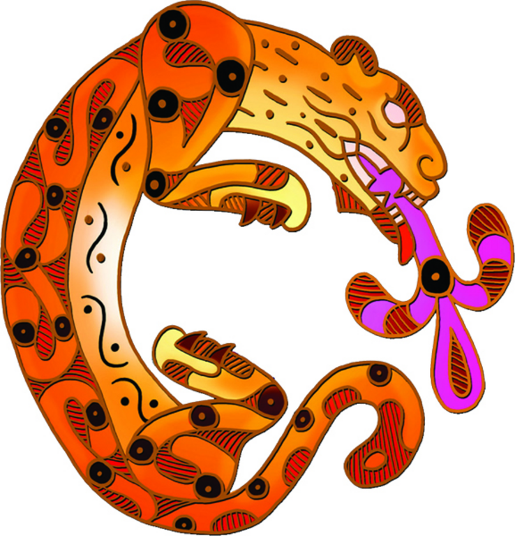 NORTHERN JAGUAR PROJECT INC logo