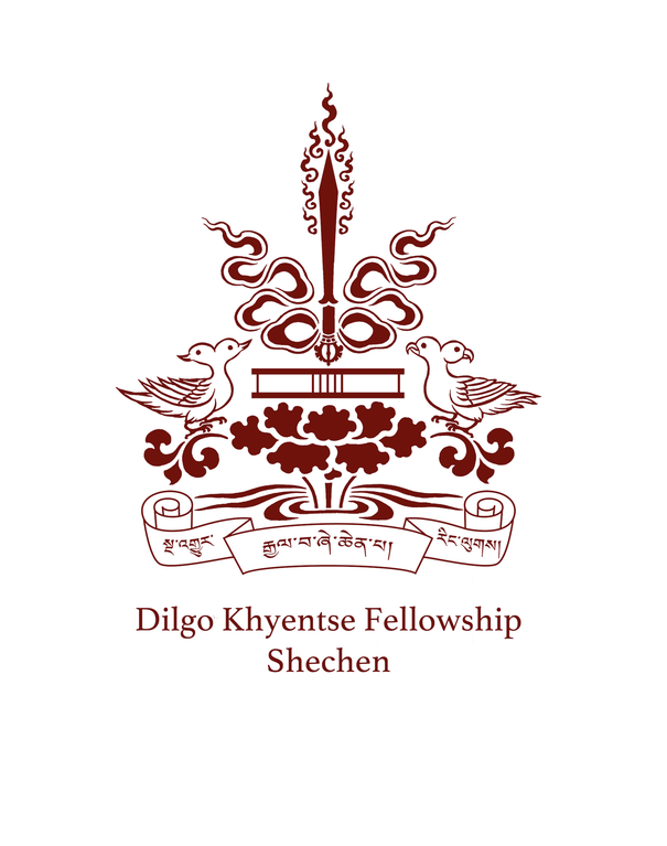 Dilgo Khyentse Fellowship/Shechen