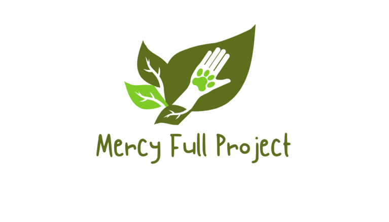 MERCY FULL PROJECT INC logo