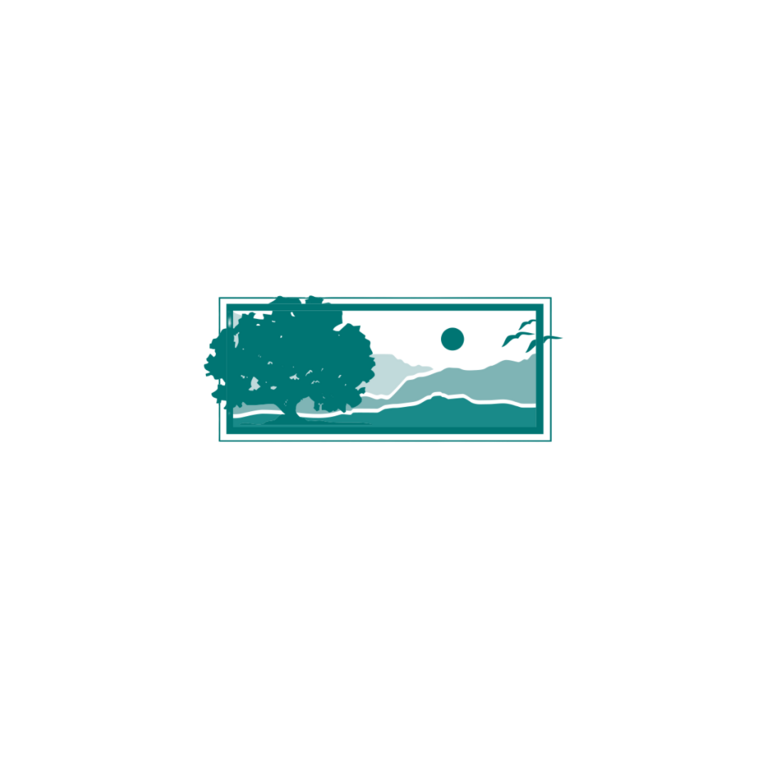 Wide Horizon Inc