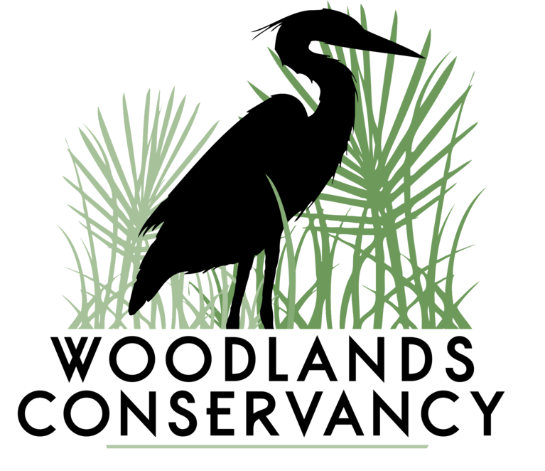 Woodlands Conservancy