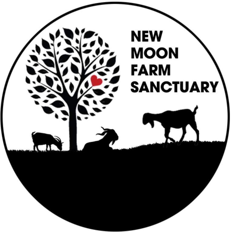 New Moon Farm