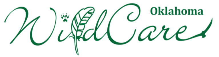 WildCare Foundation logo