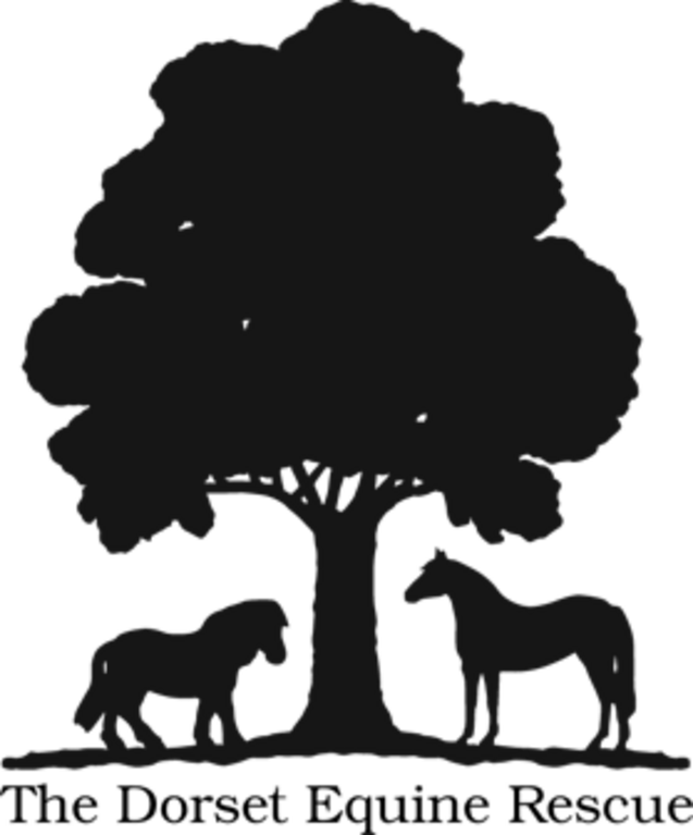 DORSET EQUINE RESCUE INC