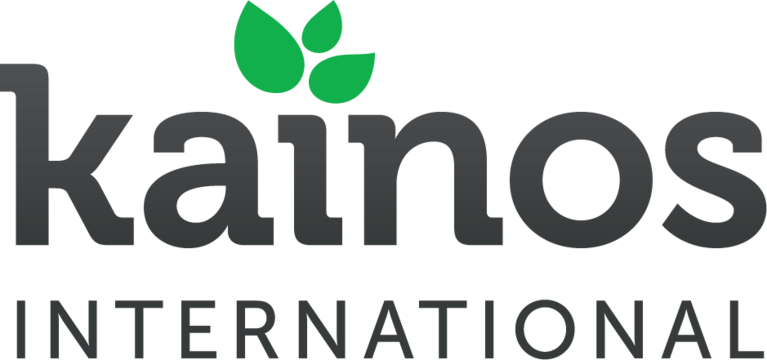 INTERNATIONAL CHURCHES MINISTRY INC